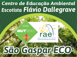 Leia mais sobre o artigo São Gaspar ECO: Conheça a história do MutEco e a criação da RAE.