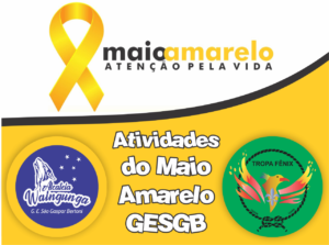 Leia mais sobre o artigo Alcateia Waingunga e Tropa Fênix realizam atividades de Prevenção de Acidentes no Trânsito do Maio Amarelo.