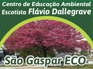 Leia mais sobre o artigo São Gaspar ECO: Consulta Arboriza Curitiba.