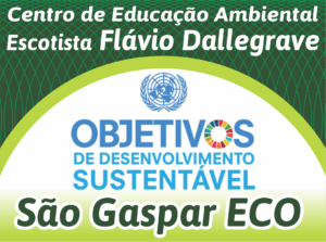 Leia mais sobre o artigo São Gaspar ECO: Os Objetivos de Desenvolvimento Sustentável da ONU e o Escotismo.